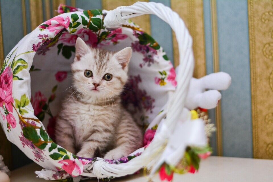 AdobeStock_216804345